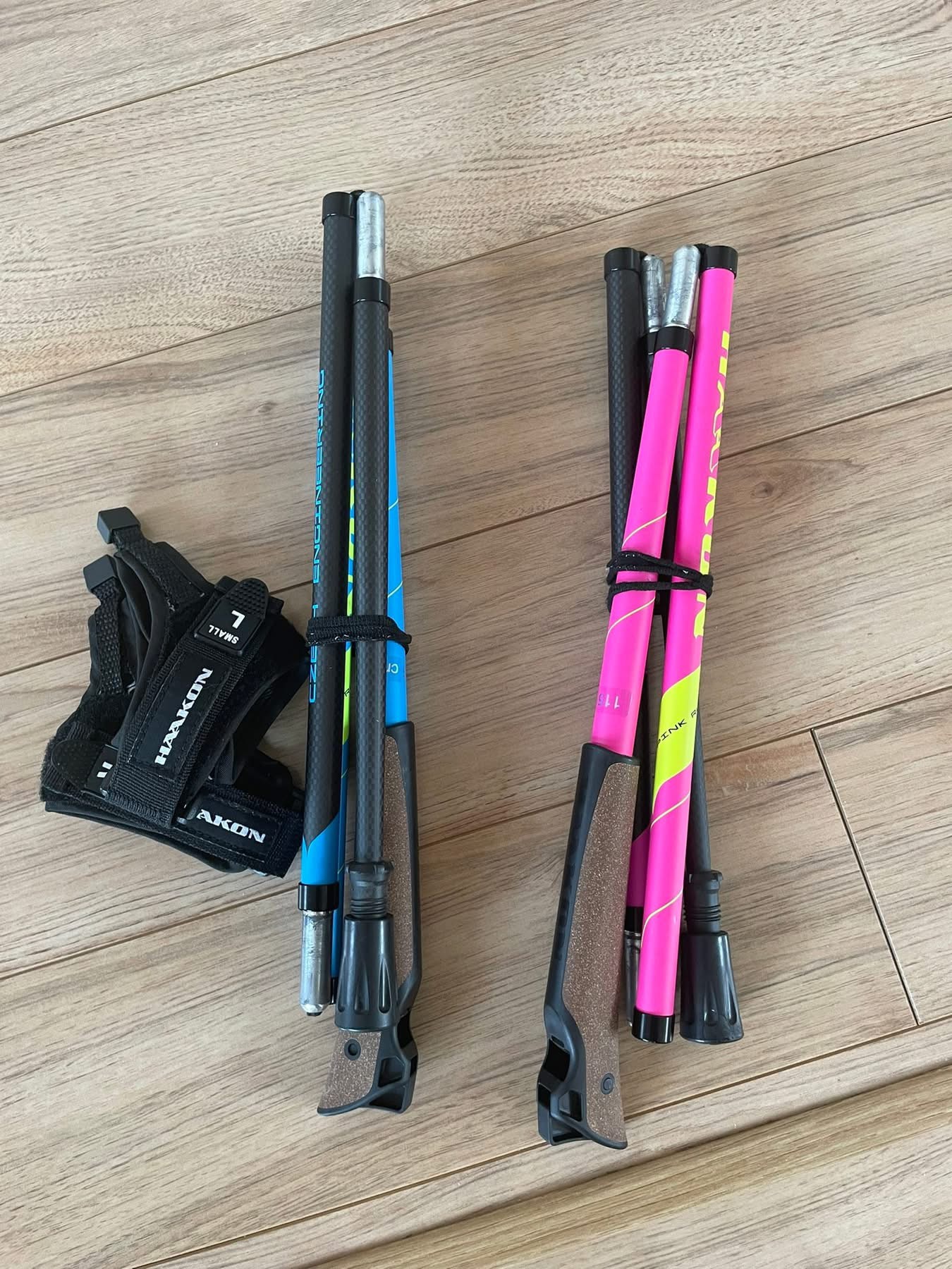 Skupina s Nordic Walking holemi v Krnově