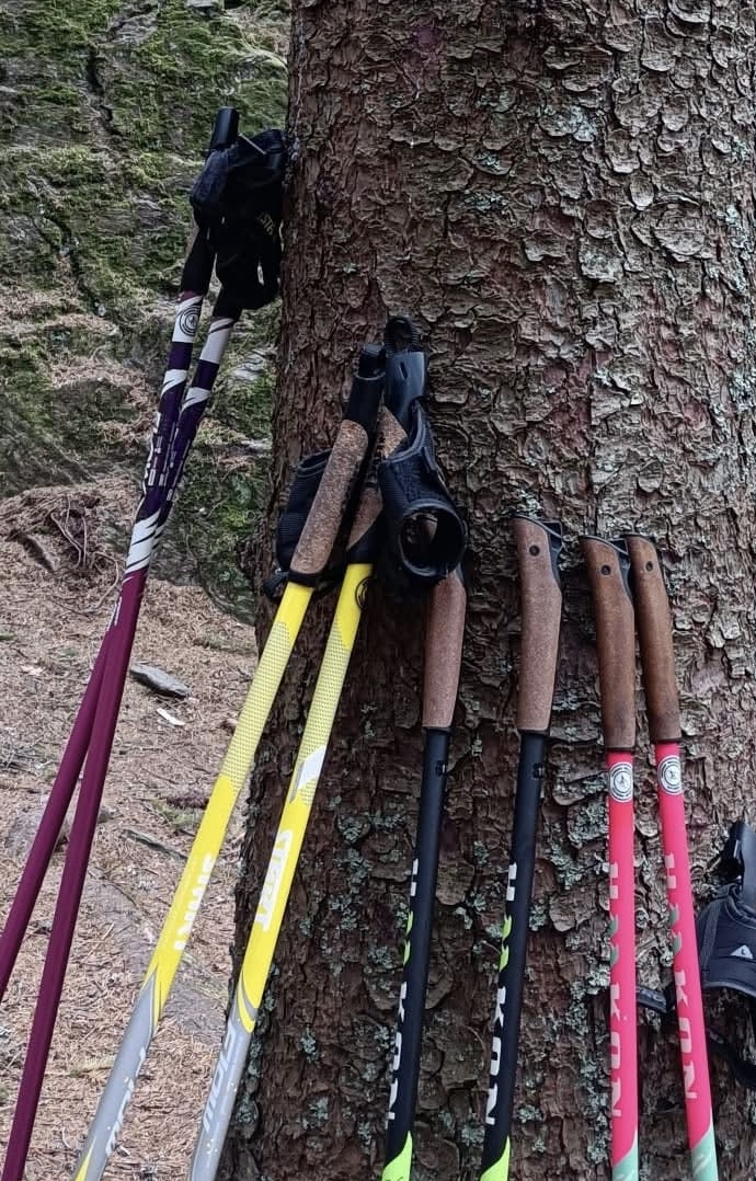 Nordic Walking s holemi v přírodě